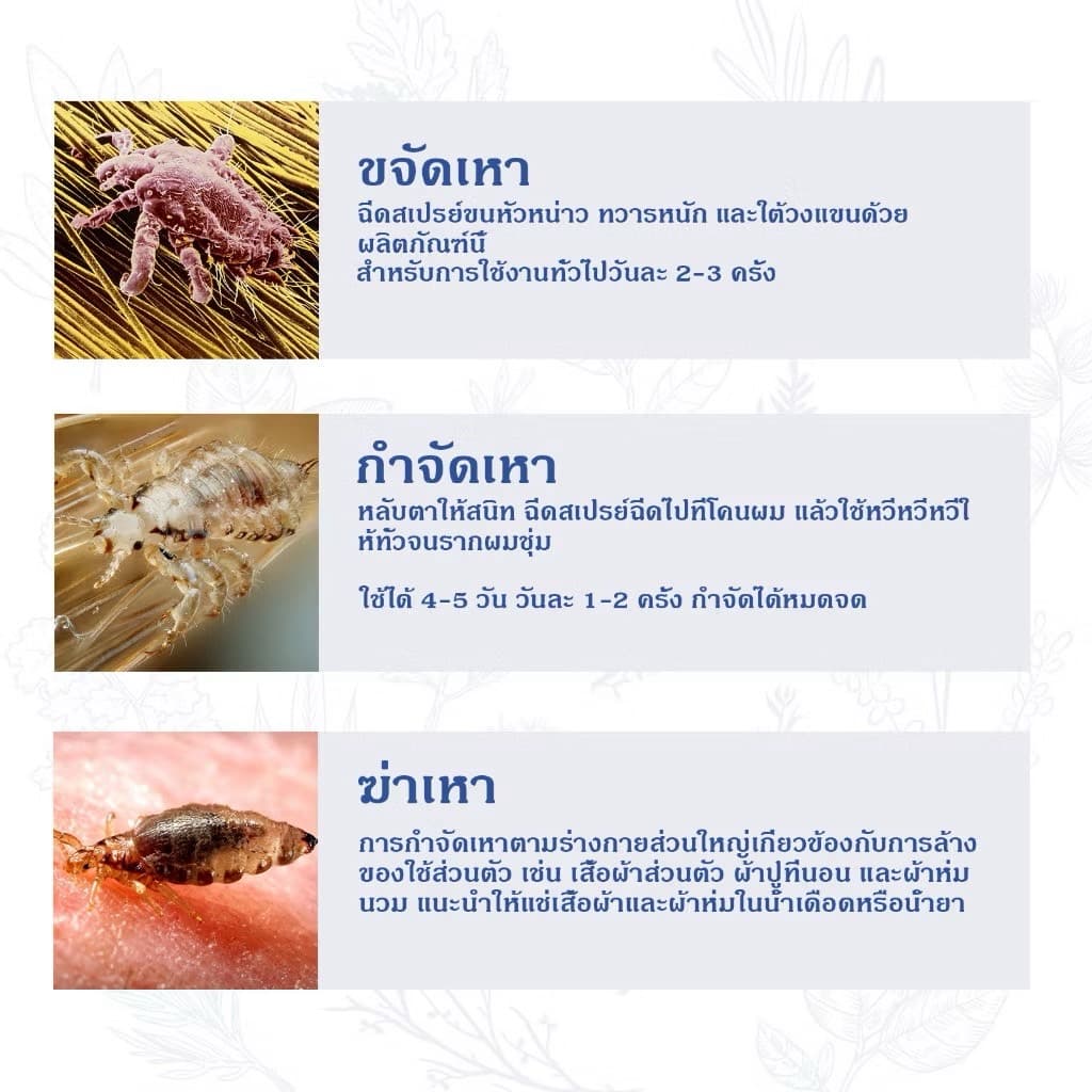 SOUTH MOON SCABIES LICE SPRAY - ภาพที่ 8