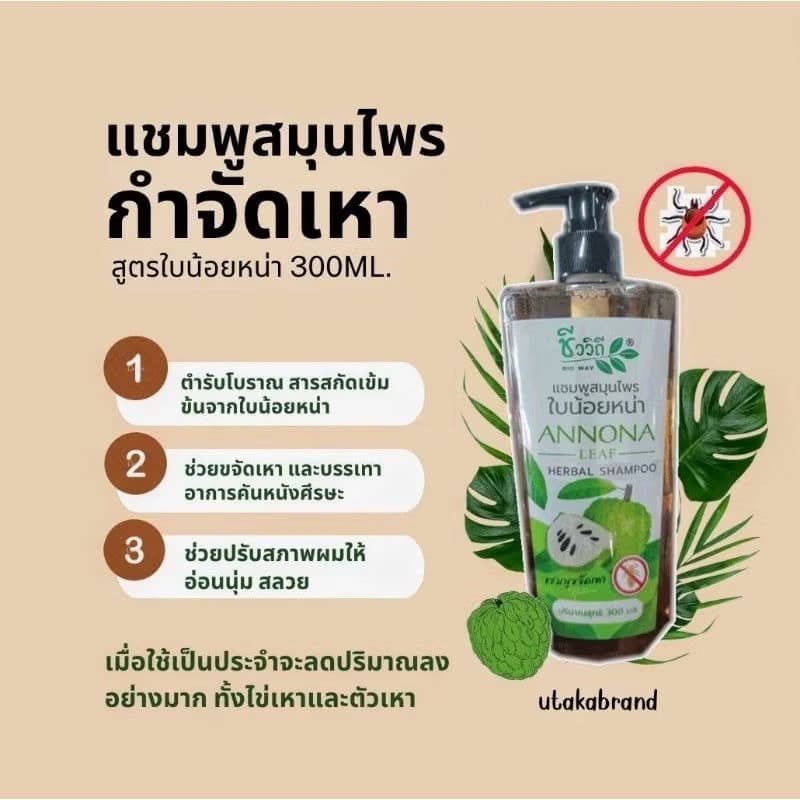 BIO WAY GINGER & LAKOOCHA HERBAL - ภาพที่ 3