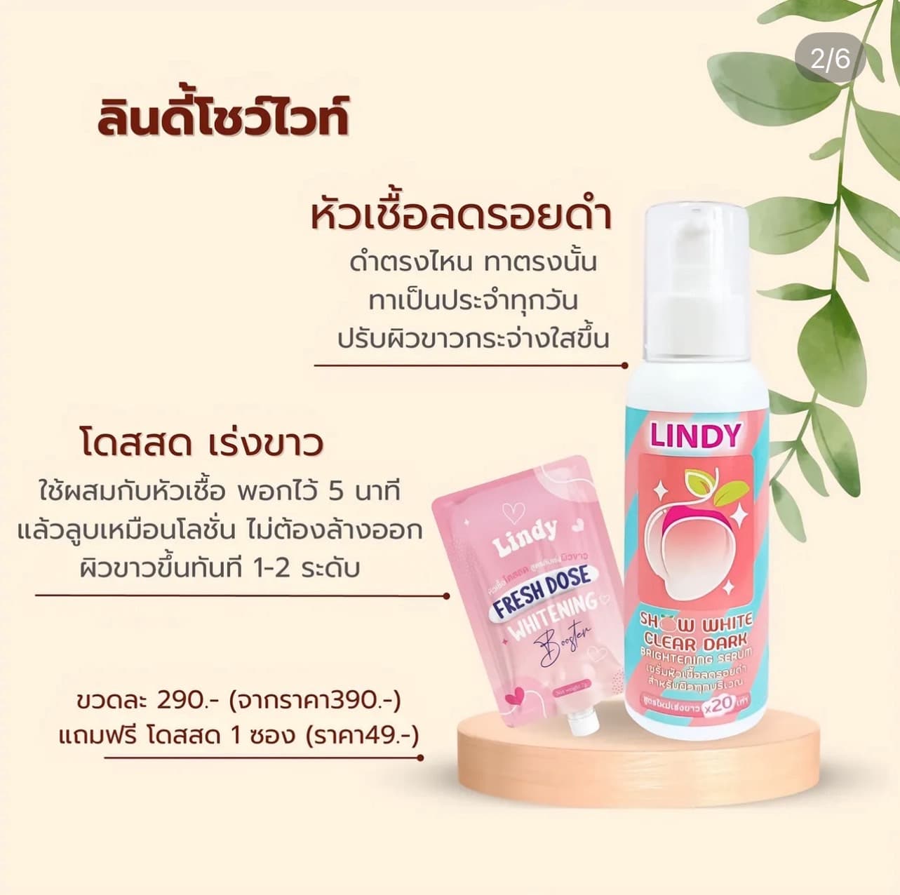 LINDY SHOW WHITE CLEAR DARK - ภาพที่ 5